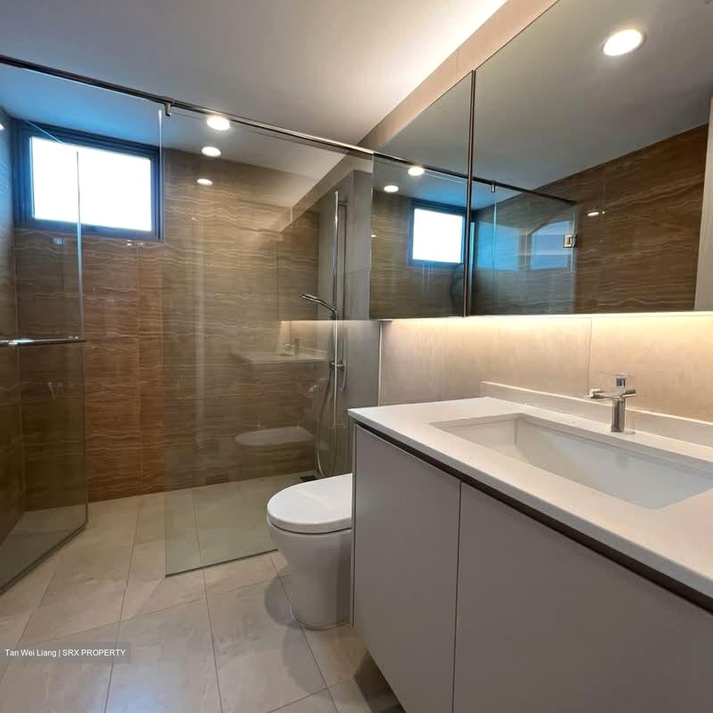 A Treasure Trove (D19), Condominium #592998471